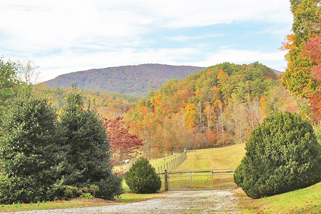 North Georgia pastureland for sale